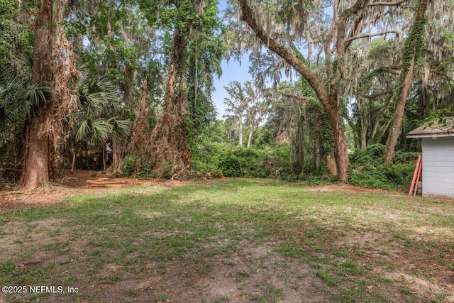 15221 Landmark Cir N, Jacksonville, FL 32226 - photo 50