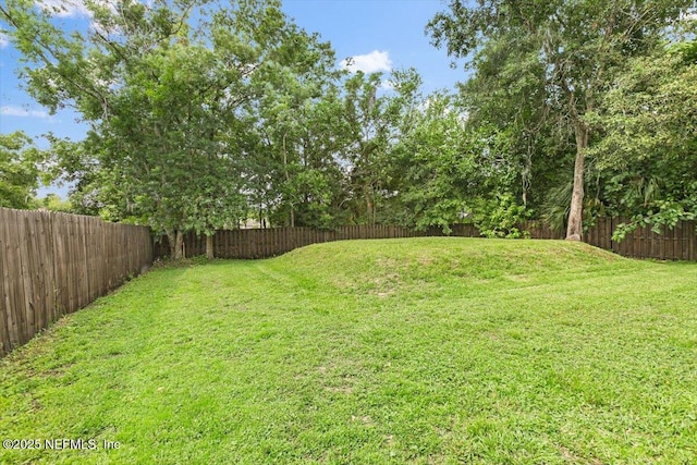 4116 Adirolf Rd, Jacksonville, FL 32207 - view of yard