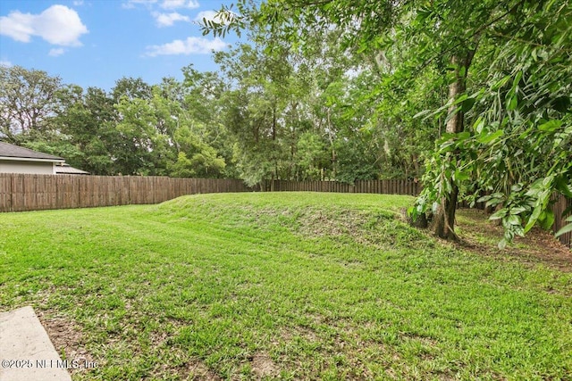 4116 Adirolf Rd, Jacksonville, FL 32207 - view of yard