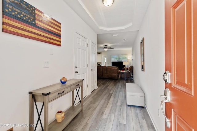 1684 Sanctuary Way, Fleming Island, FL 32003 - entryway with light wood-style floors, a tray ceiling, ceiling fan, and baseboards