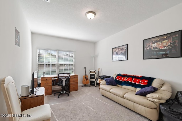 1684 Sanctuary Way, Fleming Island, FL 32003 - home office featuring light colored carpet and a textured ceiling