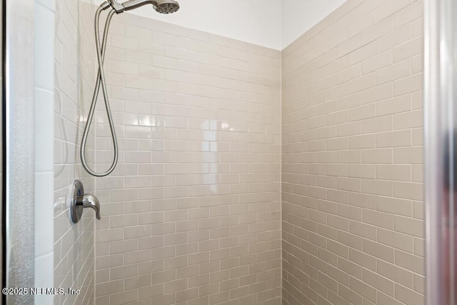 1684 Sanctuary Way, Fleming Island, FL 32003 - bathroom view of tiled shower
