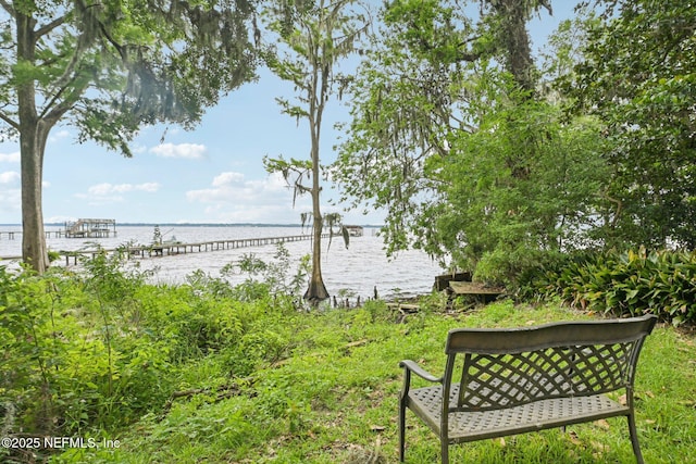 884 Live Oak Ln, Fleming Island, FL 32003 - view of yard featuring a water view