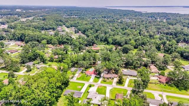 884 Live Oak Ln, Fleming Island, FL 32003 - aerial perspective of suburban area with a forest