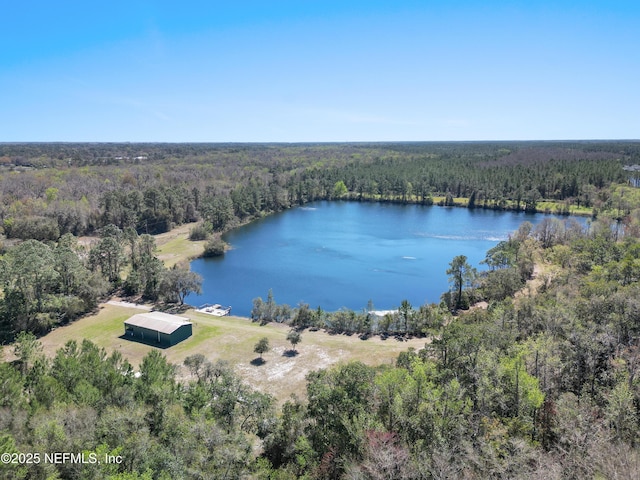 1895 Deer Run Rd, Saint Augustine, FL 32084 - drone / aerial view of a forest and a large body of water