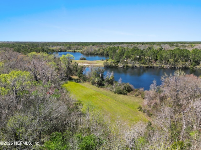 1895 Deer Run Rd, Saint Augustine, FL 32084 - water view with a forest