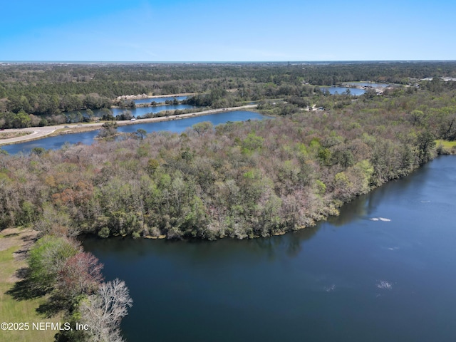 1895 Deer Run Rd, Saint Augustine, FL 32084 - aerial view of a forest and a large body of water