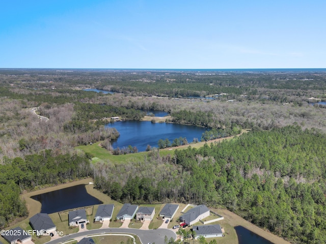 1895 Deer Run Rd, Saint Augustine, FL 32084 - aerial view of property and surrounding area with a heavily wooded area and a nearby body of water