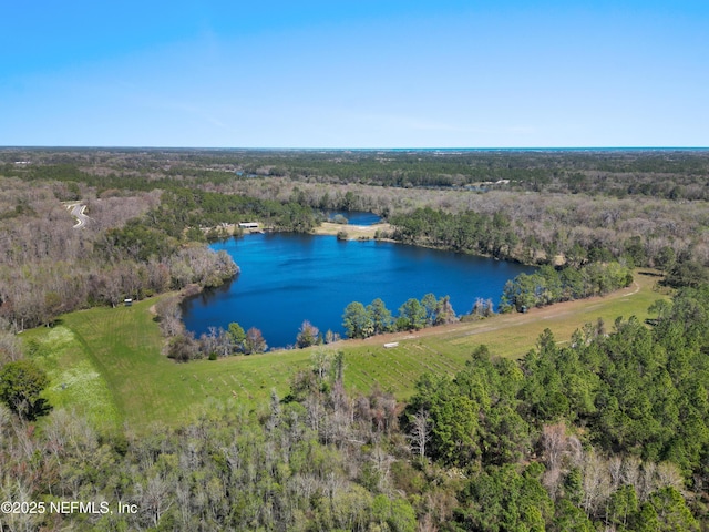 1895 Deer Run Rd, Saint Augustine, FL 32084 - aerial view of a forest and a large body of water