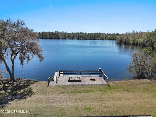 1895 Deer Run Rd, Saint Augustine, FL 32084 - dock area with a water view, a wooded view, and a lawn