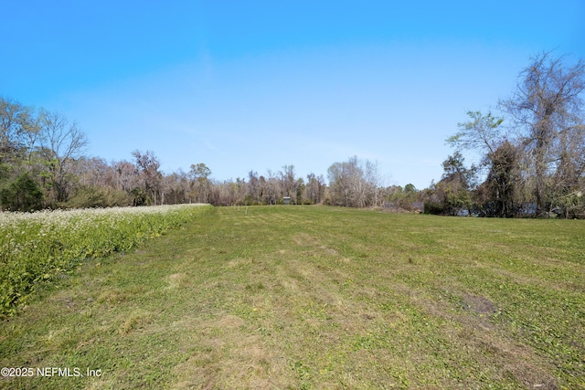 1895 Deer Run Rd, Saint Augustine, FL 32084 - view of grassy yard with a view of rural / pastoral area and a forest view