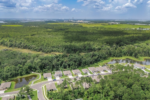 12387 Clapboard Bluff Trl, Jacksonville, FL 32226 - photo 42
