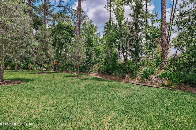 12387 Clapboard Bluff Trl, Jacksonville, FL 32226 - photo 26