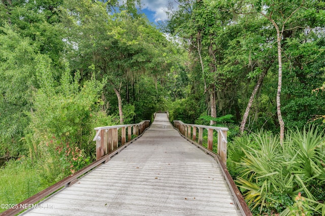 12387 Clapboard Bluff Trl, Jacksonville, FL 32226 - photo 43