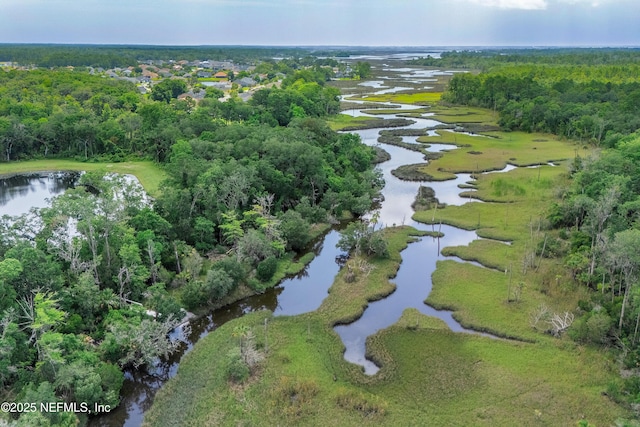 12387 Clapboard Bluff Trl, Jacksonville, FL 32226 - photo 44