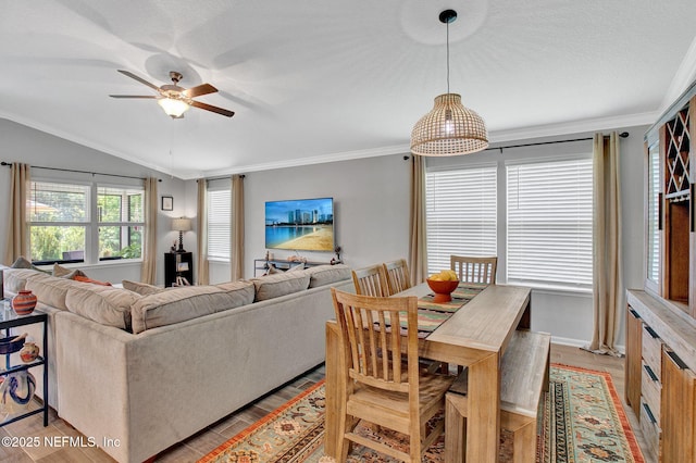 328 Falcon Quest Ln, Saint Augustine, FL 32095 - living room with light wood-style floors, ceiling fan, lofted ceiling, crown molding, and baseboards