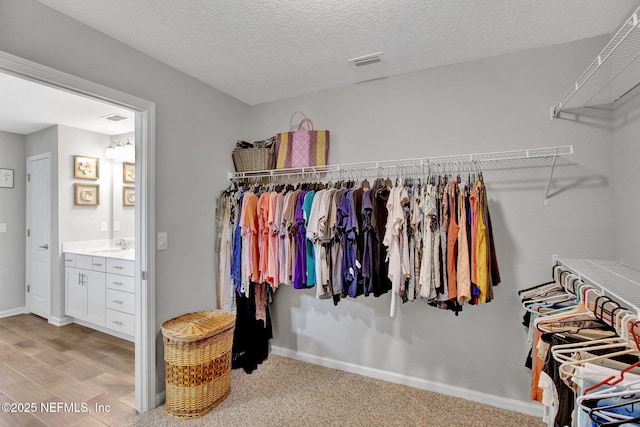 328 Falcon Quest Ln, Saint Augustine, FL 32095 - walk in closet featuring a sink