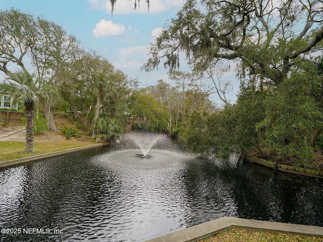 2700 Mizell Ave Unit 402B, Fernandina Beach, FL 32034 - water view