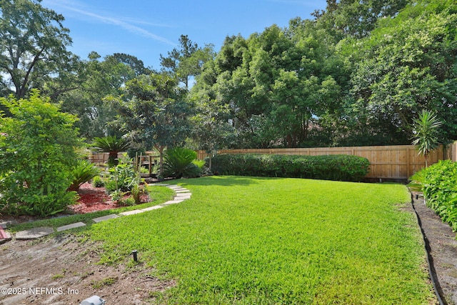 5604 Swamp Fox Rd, Jacksonville, FL 32210 - view of yard