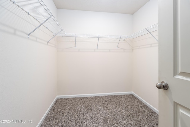 2719 Oak Stream Dr, Green Cove Springs, FL 32043 - walk in closet with carpet floors
