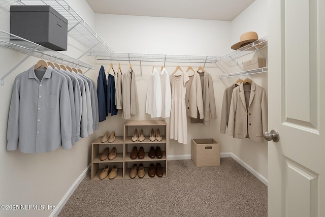 2719 Oak Stream Dr, Green Cove Springs, FL 32043 - walk in closet with carpet flooring