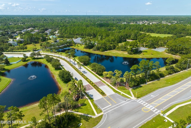 521 Cedar Arbor Ct, Saint Augustine, FL 32084 - drone / aerial view of a large body of water and a heavily wooded area