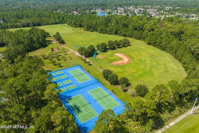 521 Cedar Arbor Ct, Saint Augustine, FL 32084 - aerial view of a forest