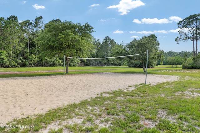 521 Cedar Arbor Ct, Saint Augustine, FL 32084 - surrounding community with volleyball court and a lawn