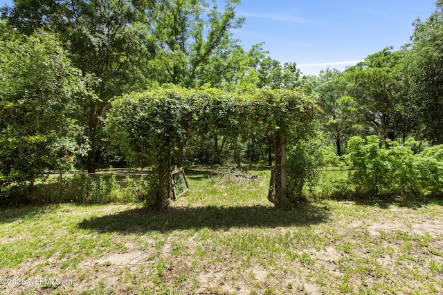 2814 Peach Dr, Jacksonville, FL 32246 - photo 33