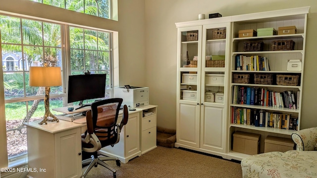 2708 Shade Tree Dr, Fleming Island, FL 32003 - carpeted office with plenty of natural light