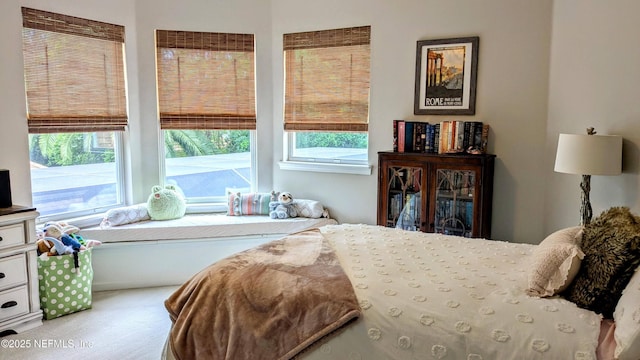 2708 Shade Tree Dr, Fleming Island, FL 32003 - view of carpeted bedroom