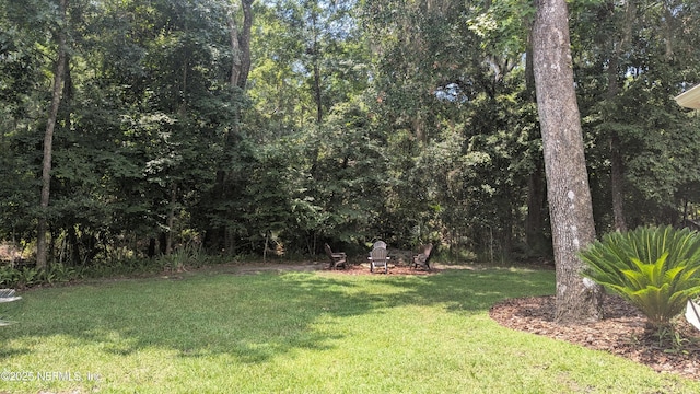 2708 Shade Tree Dr, Fleming Island, FL 32003 - photo 31