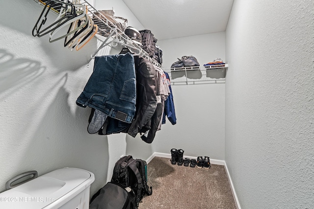 8552 Lake George Cir W, Macclenny, FL 32063 - spacious closet with carpet flooring