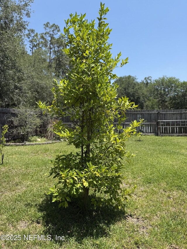 9205 Camshire Dr, Jacksonville, FL 32244 - view of yard