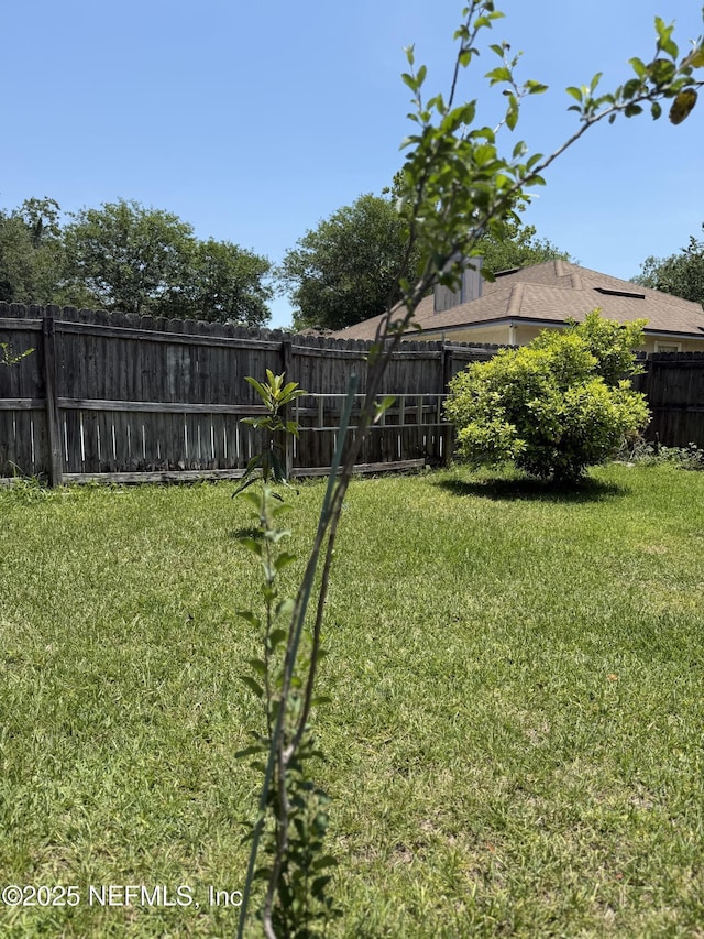 9205 Camshire Dr, Jacksonville, FL 32244 - view of yard