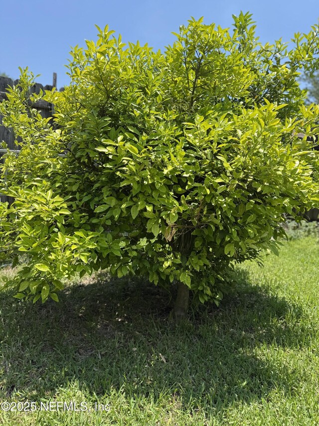 9205 Camshire Dr, Jacksonville, FL 32244 - view of nature