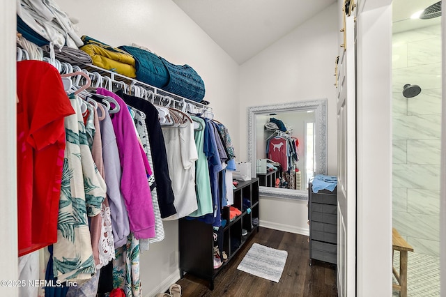5 Augusta Trl, Palm Coast, FL 32137 - spacious closet with vaulted ceiling and wood finished floors