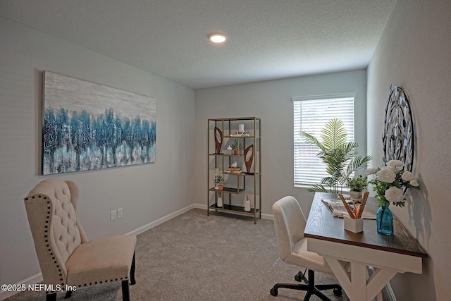 12252 Lyons St, Jacksonville, FL 32224 - office area with carpet flooring, a textured ceiling, and baseboards