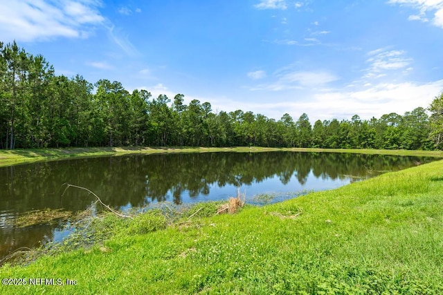 65074 Mossy Creek Ln, Yulee, FL 32097 - water view featuring a forest