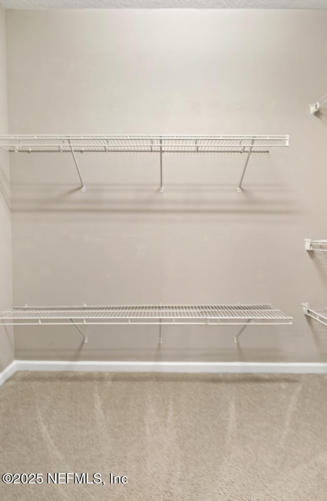 11251 Campfield Dr Unit 4107, Jacksonville, FL 32256 - spacious closet featuring carpet flooring