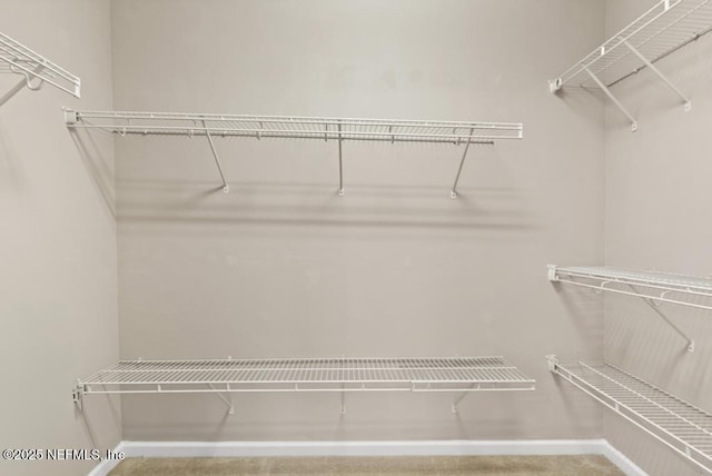 11251 Campfield Dr Unit 4107, Jacksonville, FL 32256 - view of spacious closet