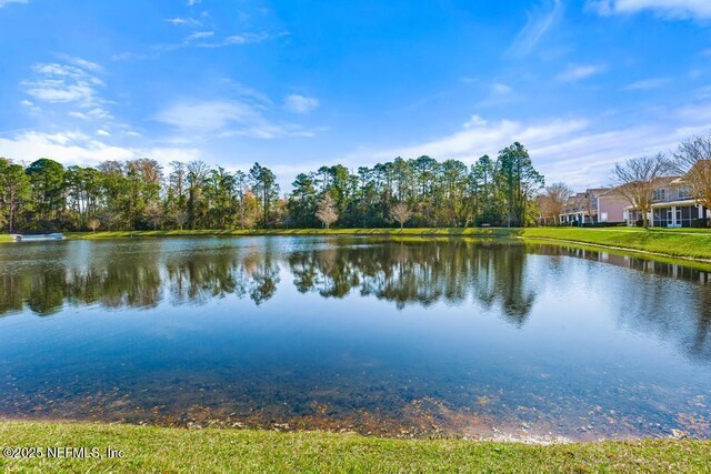 11251 Campfield Dr Unit 4107, Jacksonville, FL 32256 - water view