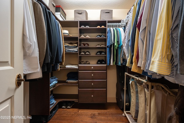 8 Rue Renoir, Palm Coast, FL 32137 - walk in closet featuring dark wood-style floors