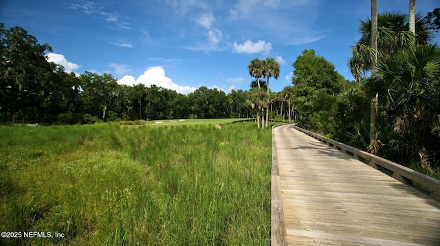 8 Rue Renoir, Palm Coast, FL 32137 - view of community