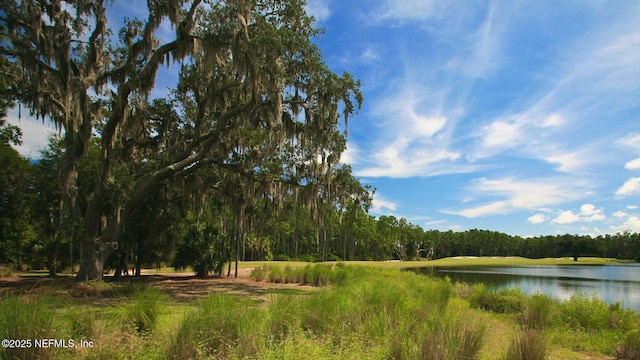 8 Rue Renoir, Palm Coast, FL 32137 - water view featuring a heavily wooded area