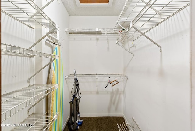 5342 Hickson Rd, Jacksonville, FL 32207 - view of walk in closet