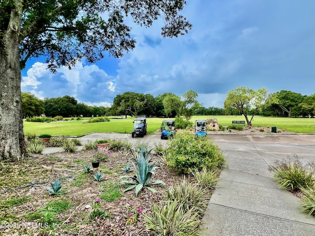 1141 Glengad, Ormond Beach, FL 32174 - view of grassy yard featuring view of scattered trees