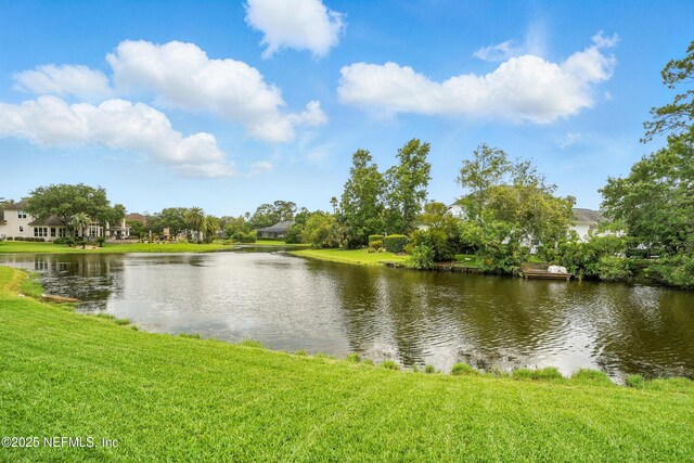 145 Deer Haven Dr, Ponte Vedra Beach, FL 32082 - photo 39