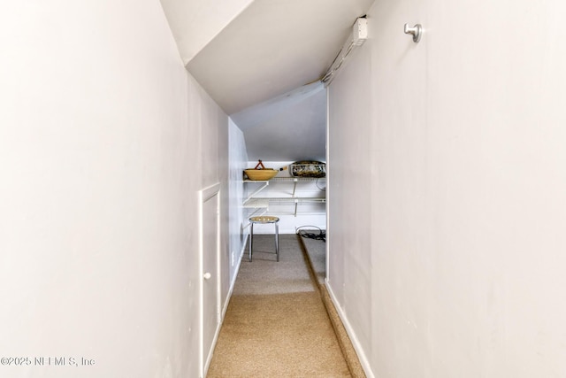 3115 Harbor Dr, Saint Augustine, FL 32084 - hallway with carpet and lofted ceiling
