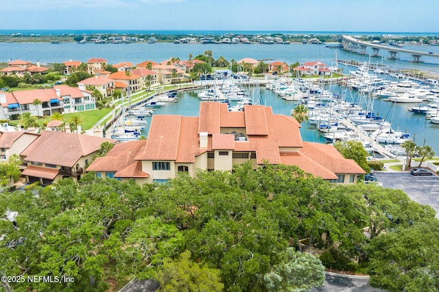 3115 Harbor Dr, Saint Augustine, FL 32084 - bird's eye view of numerous boat docks and a large body of water